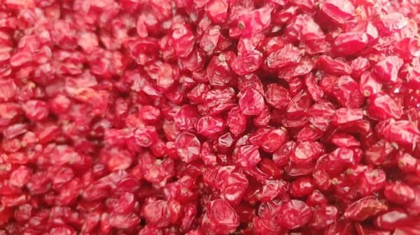 تصویر 3 از خرید زرشک دانه اناری قرمز + قیمت فروش استثنایی