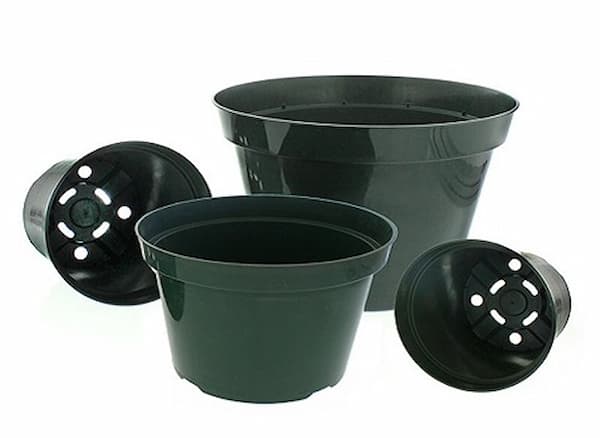 تصویر 3 از فروش گلدان پلاستیکی گلخانه ای + قیمت خرید به صرفه