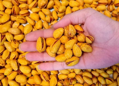 تصویر 4 از فروش پسته بادامی شور + قیمت خرید به صرفه
