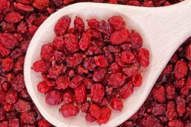 تصویر 4 از قیمت زرشک زیر تالاری + خرید باور نکردنی