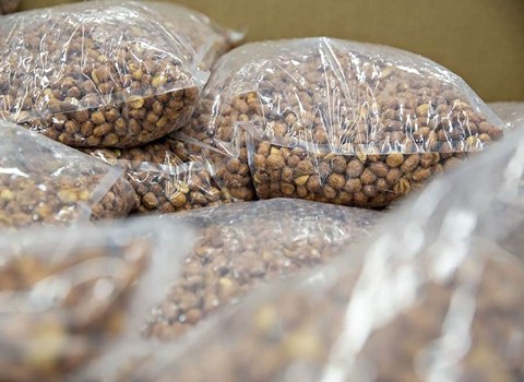 تصویر 1 از خرید و قیمت خرما ضایعاتی شیراز + فروش عمده