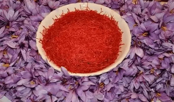 تصویر 3 از زعفران ممتاز خرید عمده
