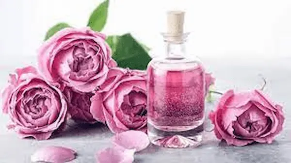 تصویر 4 از فروش گل محمدی بسته‌بندی شده