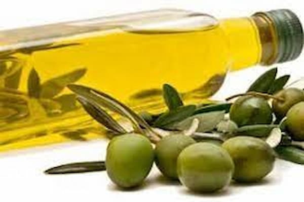 قیمت روغن زیتون اصل با کیفیت ارزان + خرید عمده