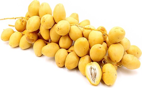 تصویر 3 از خرید خرما خارک اصلاح نژاد شده + قیمت فروش استثنائی