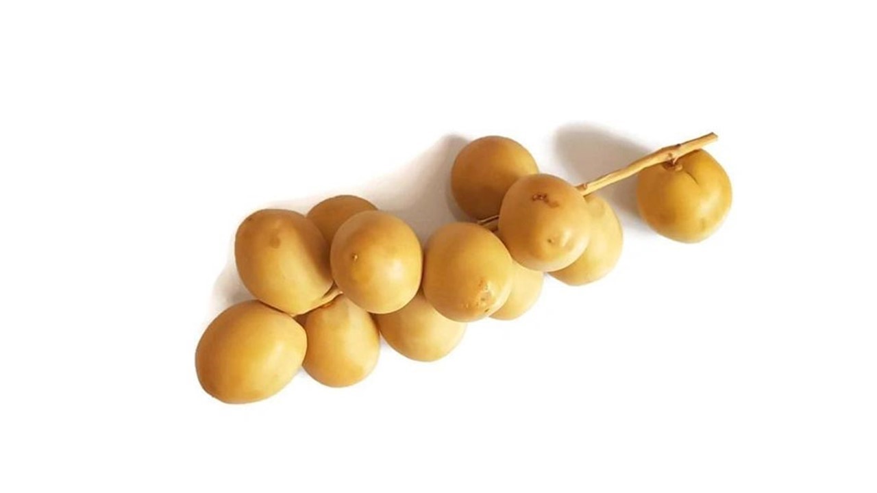 تصویر 1 از خرید خرما خارک اصلاح نژاد شده + قیمت فروش استثنائی