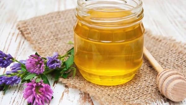 تصویر 1 از راهنمای خرید عسل چندگیاه طبیعی + قیمت عالی