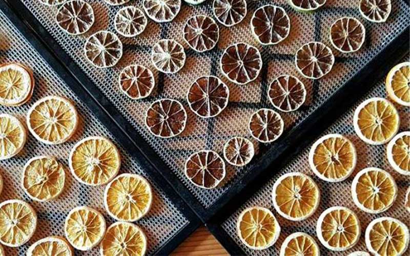 تصویر 5 از قیمت خرید لیمو خشک ورقه ای + فروش ویژه