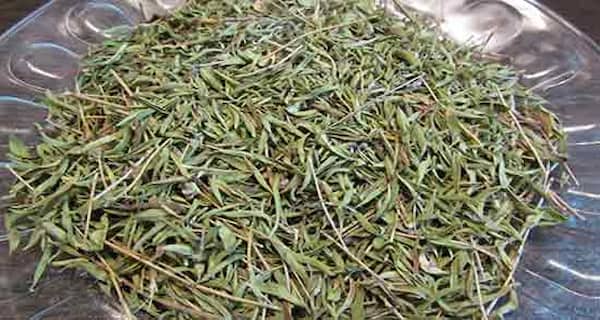 تصویر 5 از قیمت روز برگ گیاه آویشن