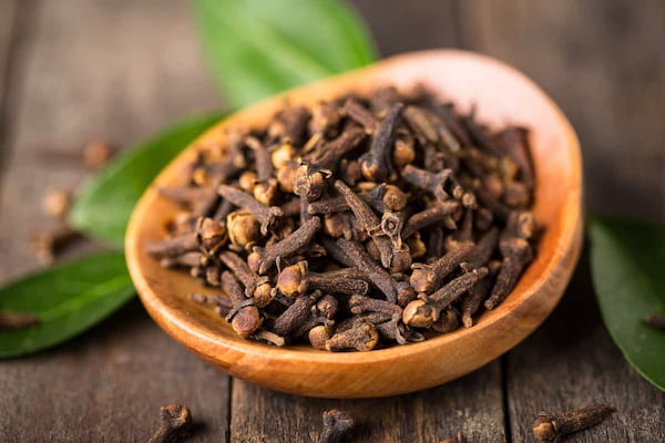 تصویر 1 از راهنمای خرید گیاه دارویی میخک + قیمت عالی