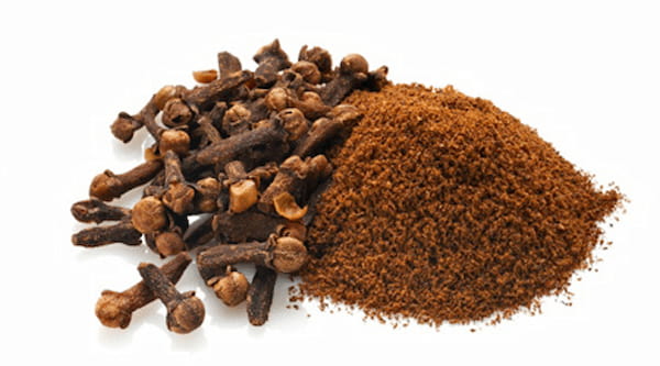 راهنمای خرید گیاه دارویی میخک + قیمت عالی