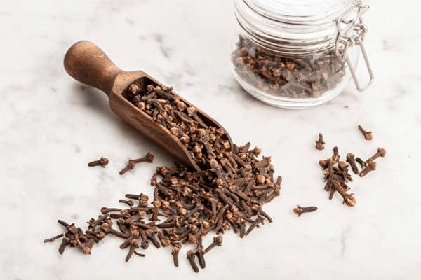 تصویر 4 از راهنمای خرید گیاه دارویی میخک + قیمت عالی