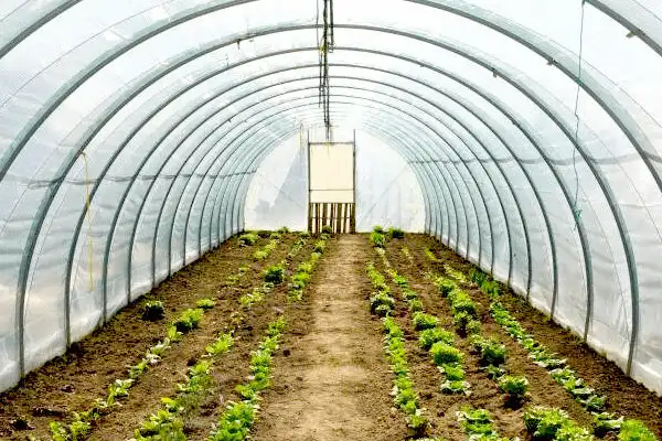 تصویر 3 از راهنمای خرید کفپوش گلخانه صنعتی + قیمت عالی
