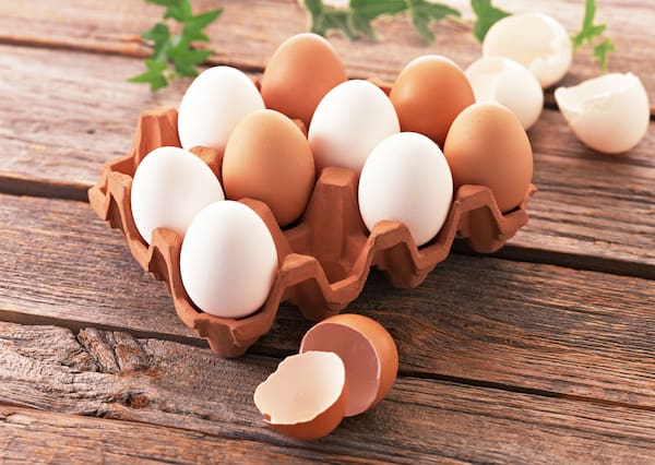 تصویر 5 از قیمت و خرید تخم مرغ غنی شده با امگا ۳ + فروش ارزان