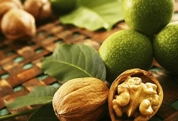 تصویر 3 از راهنمای خرید مغز گردو تازه + قیمت عالی