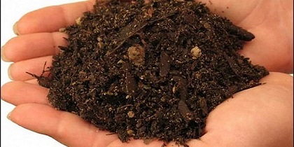 تصویر 1 از قیمت خاک پرومکس مرغوب + خرید باور نکردنی