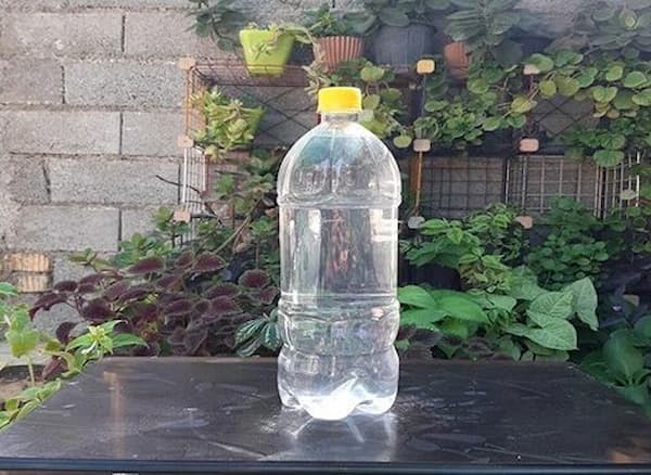 تصویر 1 از قیمت عرق پنج گیاه فشار خون + خرید باور نکردنی
