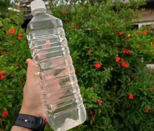 تصویر 5 از قیمت عرق پنج گیاه فشار خون + خرید باور نکردنی
