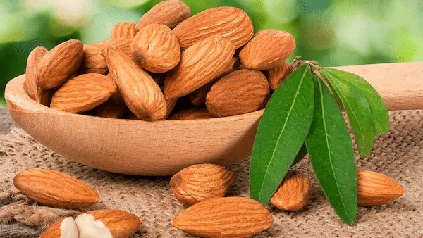 تصویر 4 از خرید بادام درختی مامایی + بهترین قیمت