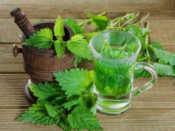 قیمت عرق نعنا دوآتیشه با کیفیت ارزان + خرید عمده