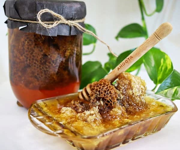تصویر 3 از خرید جدیدترین انواع عسل وحشی کوهی