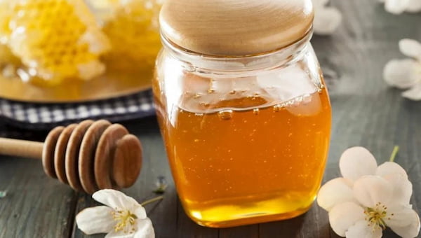 تصویر 4 از خرید جدیدترین انواع عسل وحشی کوهی