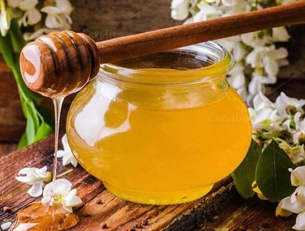 تصویر 5 از خرید جدیدترین انواع عسل وحشی کوهی