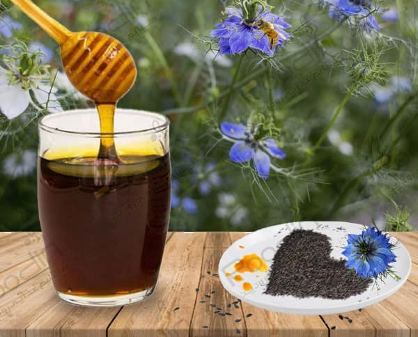 تصویر 1 از خرید عسل سیاه دانه صادراتی + قیمت فروش استثنایی