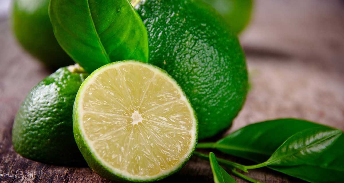 تصویر 2 از قیمت خرید لیمو ترش سبز + فروش ویژه