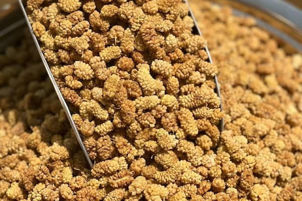 تصویر 5 از خرید و قیمت خشکبار توت خشک + فروش صادراتی