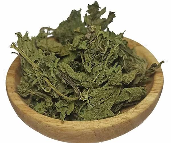تصویر 4 از خرید و قیمت انواع برگ گزنه خشک شده