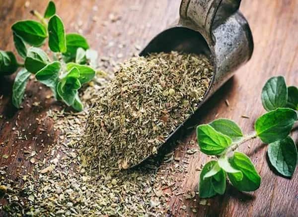 تصویر 1 از راهنمای خرید برگ آویشن خشک شده + قیمت عالی