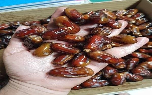 تصویر 1 از قیمت و خرید خرما مضافتی درجه یک + فروش ارزان