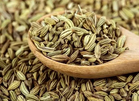 تصویر 2 از قیمت خرید زیره سبز کرمان + فروش ویژه