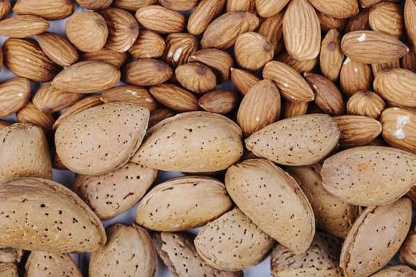 تصویر 1 از خرید و قیمت بادام مامایی صادراتی + فروش عمده