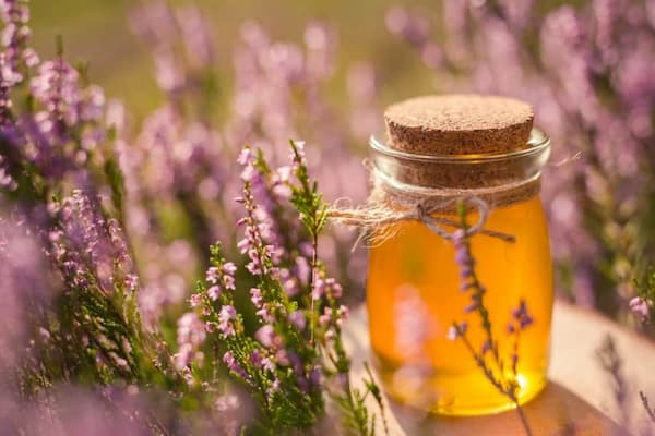 تصویر 3 از قیمت عسل اویشن کوهی + خرید باور نکردنی