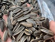 تصویر 3 از خرید تخمه آفتابگردان اس ۴۰۰ + قیمت فروش استثنایی