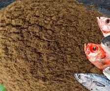 قیمت خرید پودر ماهی برای مرغ + فروش ویژه