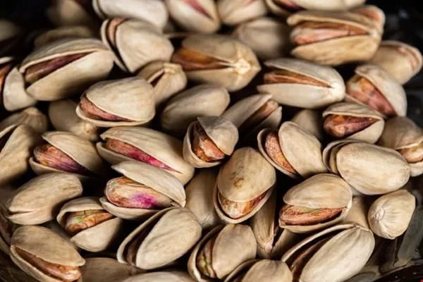 تصویر 1 از فروش پسته فندقی شور + قیمت خرید به صرفه