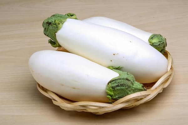فروش بادمجان سفید رنگ +  قیمت خرید به صرفه