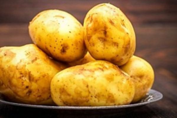 تصویر 2 از خرید سیب زمینی زرد اردبیل + قیمت فروش استثنایی