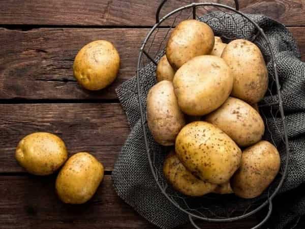 تصویر 4 از خرید سیب زمینی زرد اردبیل + قیمت فروش استثنایی