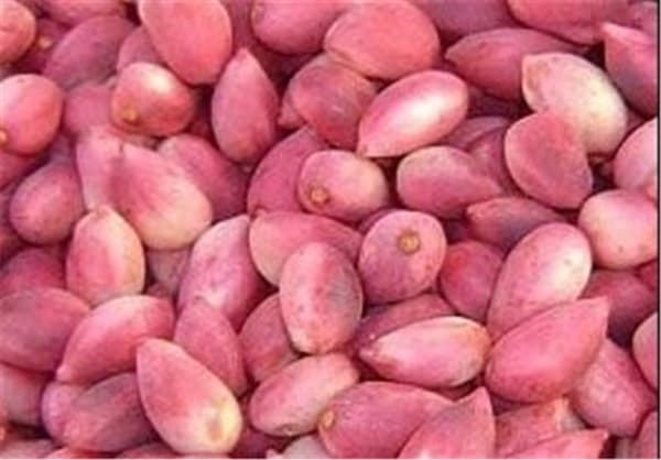 قیمت  پسته تازه رفسنجان با کیفیت ارزان + خرید عمده