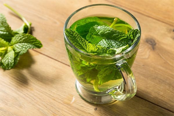 تصویر 2 از راهنمای خرید عرق نعنا دو آتیشه + قیمت عالی