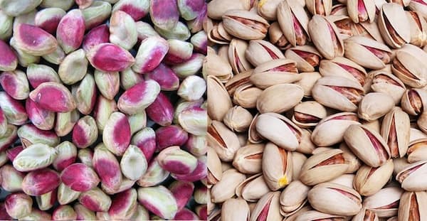 تصویر 1 از فروش  پسته درجه یک اکبری+ قیمت خرید به صرفه