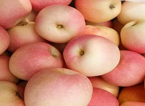 تصویر 5 از قیمت خرید سیب گلاب تابستانی + فروش ویژه