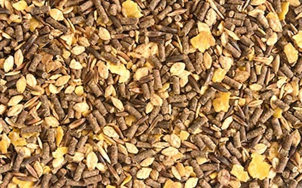 قیمت استارتر بره پرواری + خرید باور نکردنی