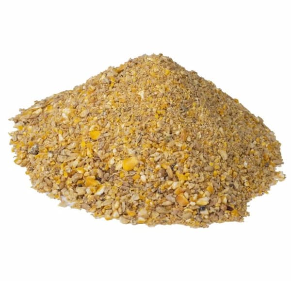 تصویر 5 از قیمت استارتر بره پرواری + خرید باور نکردنی
