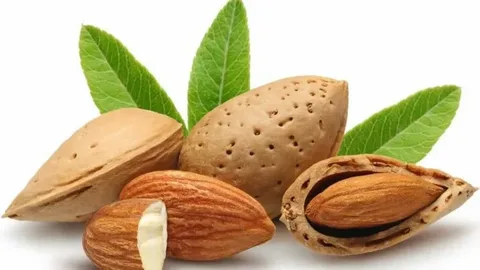 قیمت بادام درختی طعم دار + خرید باور نکردنی