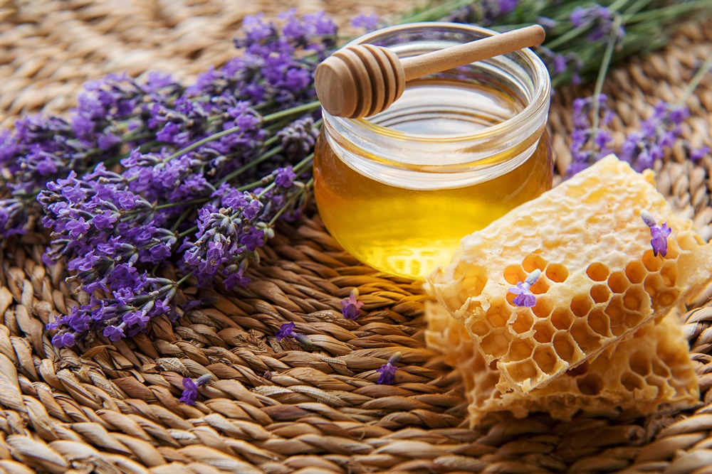 تصویر 3 از خرید عسل اسطوخودوس اصل + قیمت فروش استثنایی